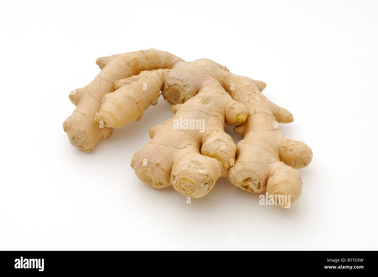 Ginger rhizome (Zingiberaceae) Stock Photo