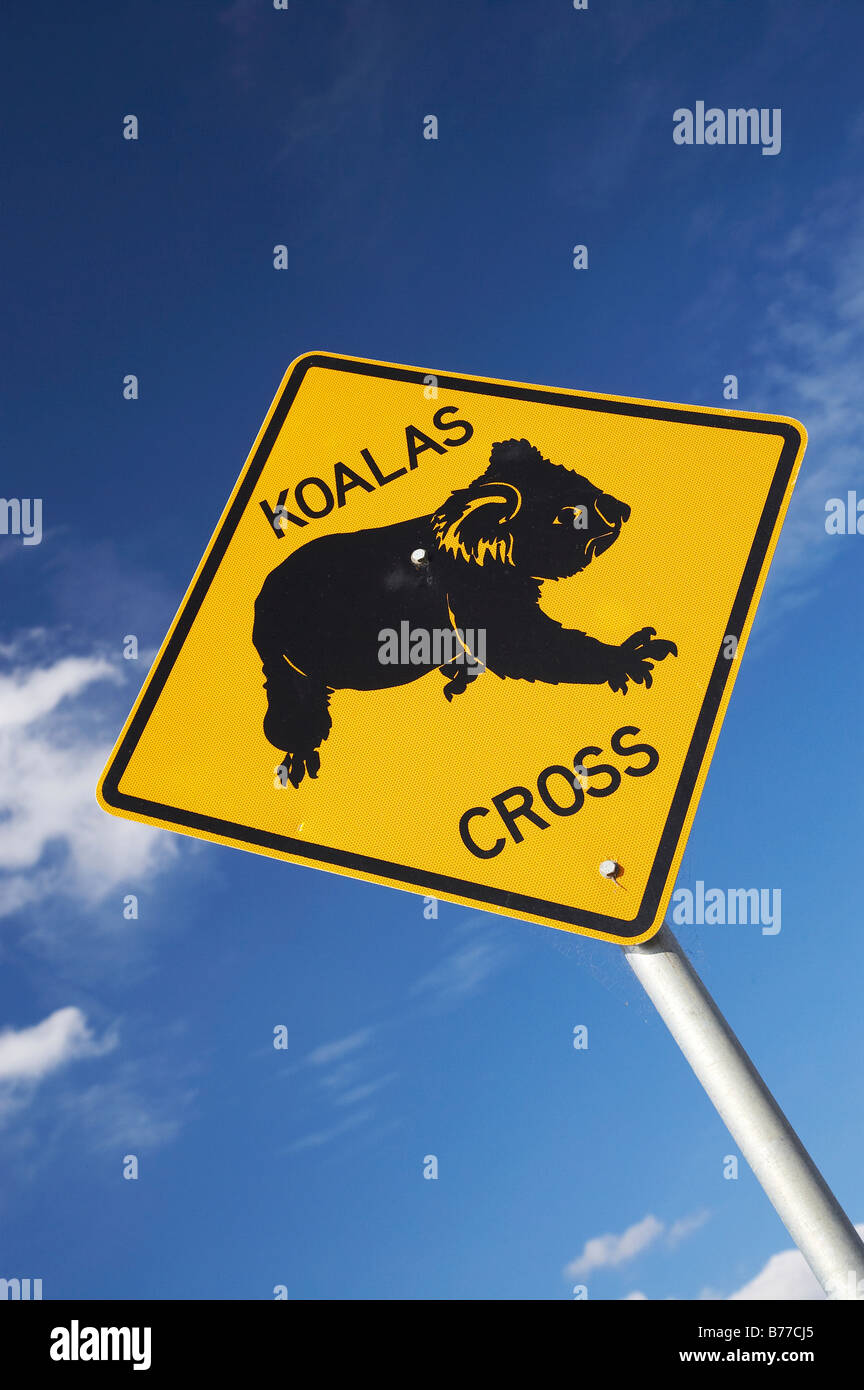 Koalas warning sign hires stock photography and images Alamy