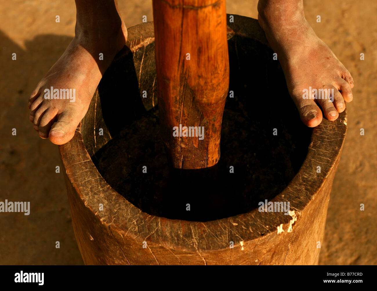 pounding grain in Laos Stock Photo