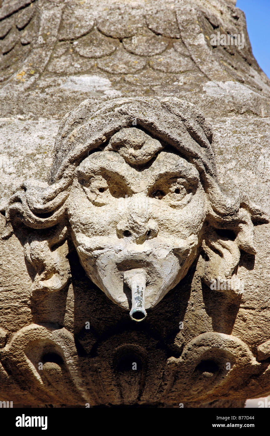 Gargoyle at fountain, Malemort-du-Comtat, Vaucluse, Provence-Alpes-Cote d'Azur, Southern France, France, Europe Stock Photo
