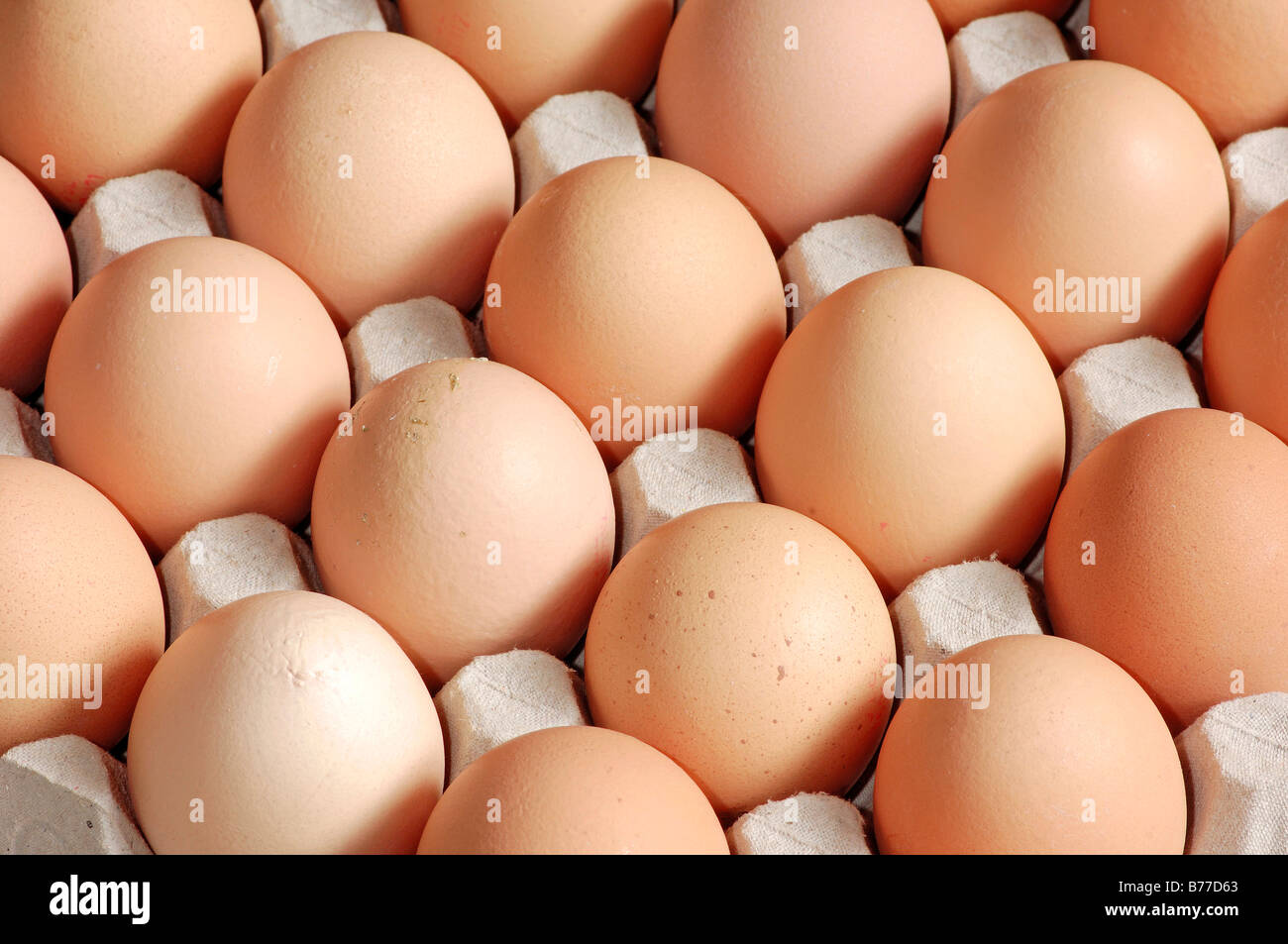 Hen's eggs Stock Photo