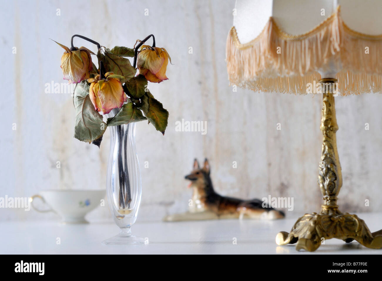 Dried-out roses in a retirement home, symbolic image age-related poverty Stock Photo