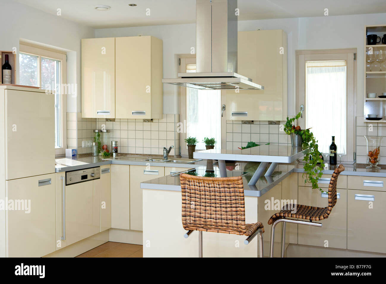 Moderne Kueche, modern kitchen Stock Photo