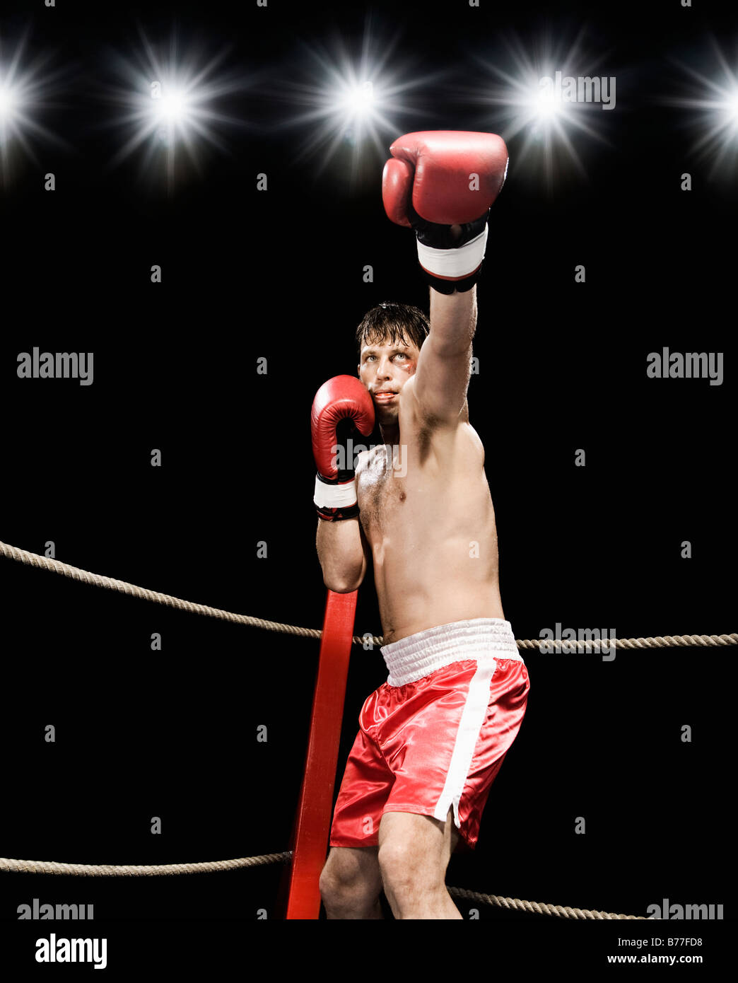 Boxer extending arm boxing ring Stock Photo Alamy