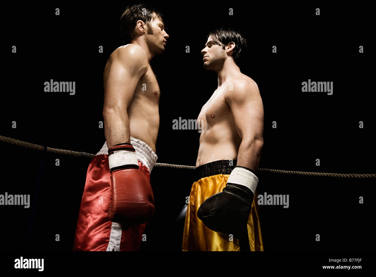 Boxers Face Stock Photos & Boxers Face Stock Images - Alamy