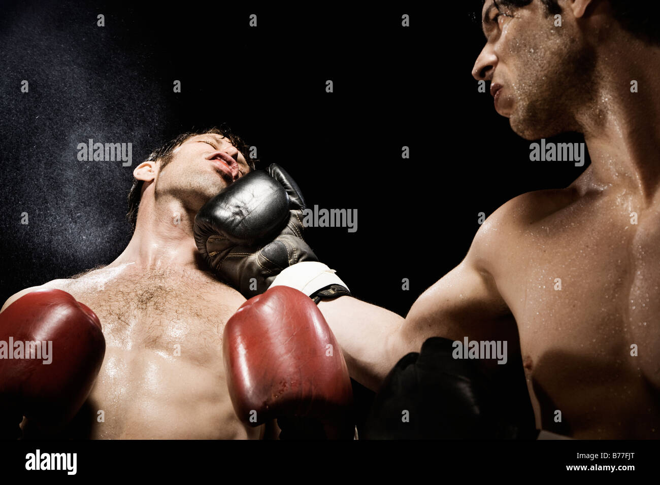 Boxer punching opponent jaw Stock Photo Alamy