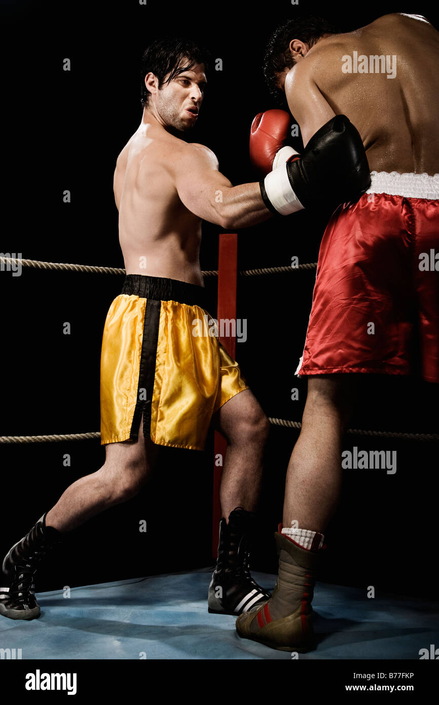 Boxers fighting boxing ring Stock Photo Alamy