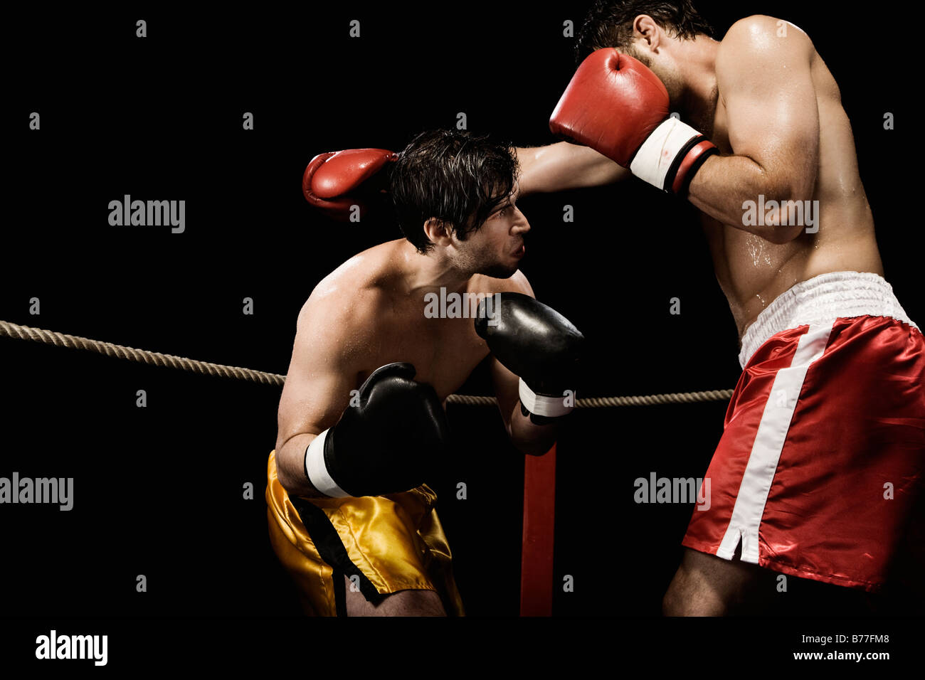 Boxers fighting boxing ring Stock Photo Alamy