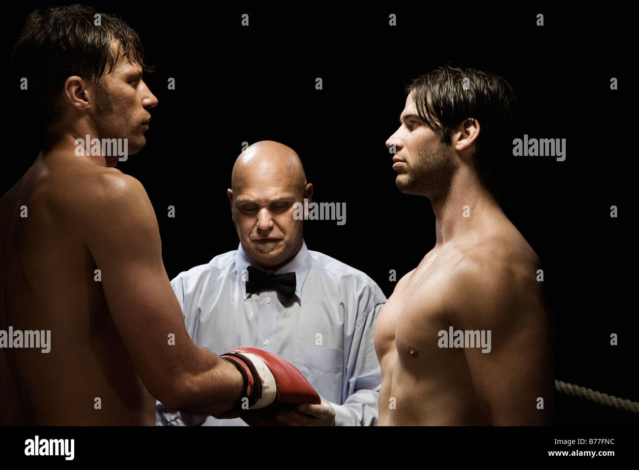 Referee checking boxer’s gloves Stock Photo Alamy