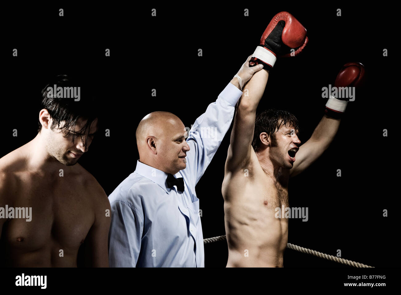 Referee standing between winning and losing boxers Stock Photo Alamy
