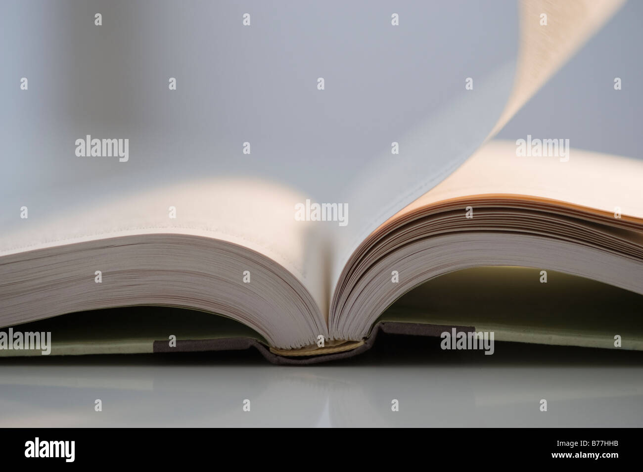 Close up of open book Stock Photo