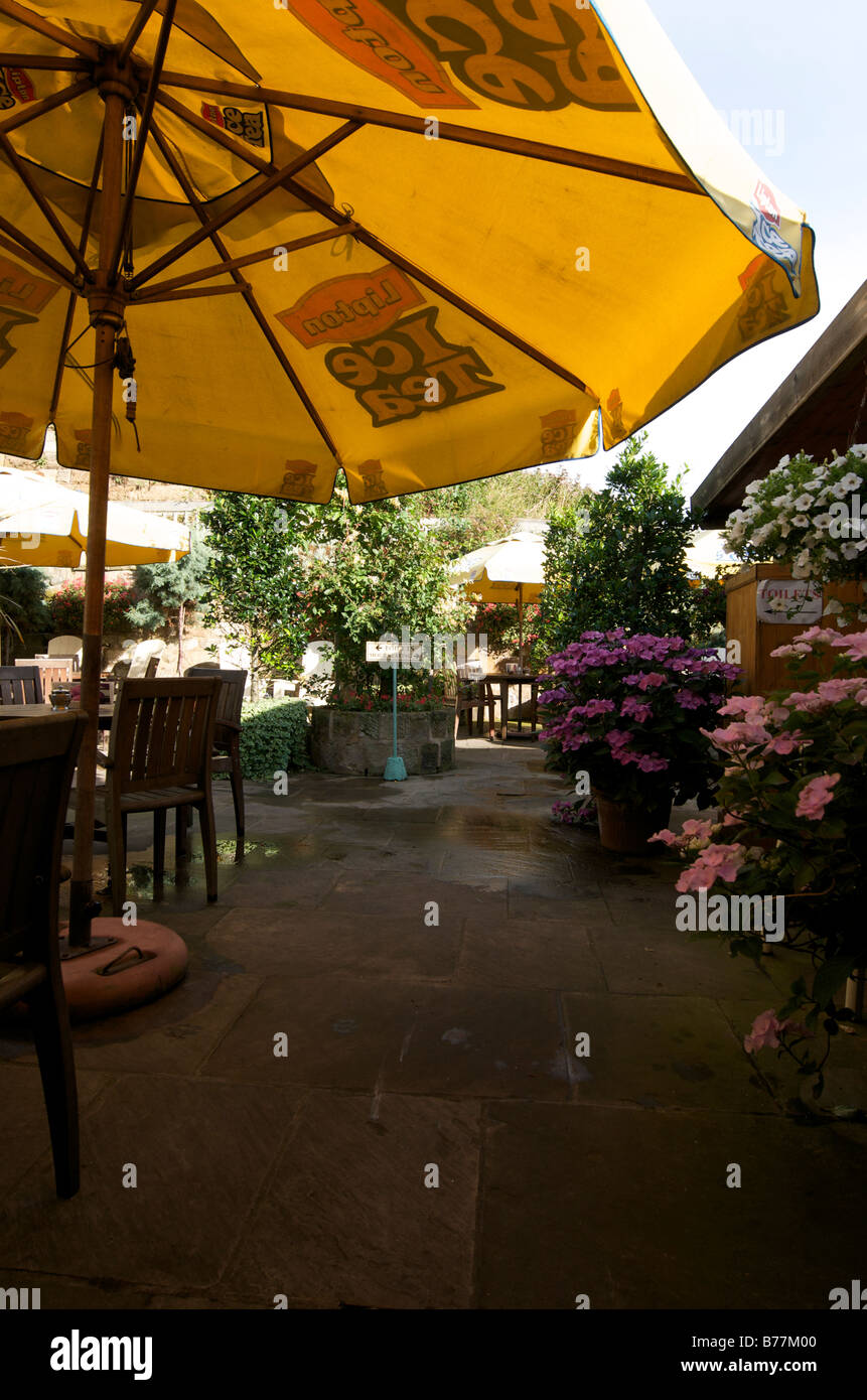 cafe courtyard,cafe walled garden,parasol,hydrangeas Stock Photo
