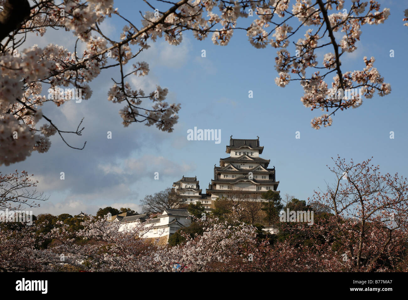 Japan,Honshu,Hyogo,Himeji Castle Stock Photo