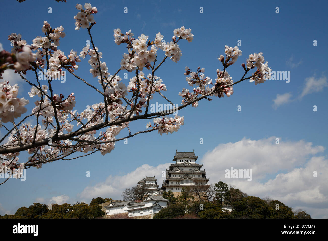 Japan,Honshu,Hyogo,Himeji Castle Stock Photo