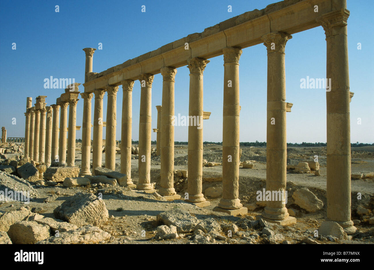 Ruins of the desert town Palmyra, Syria, Middle East, Orient Stock Photo