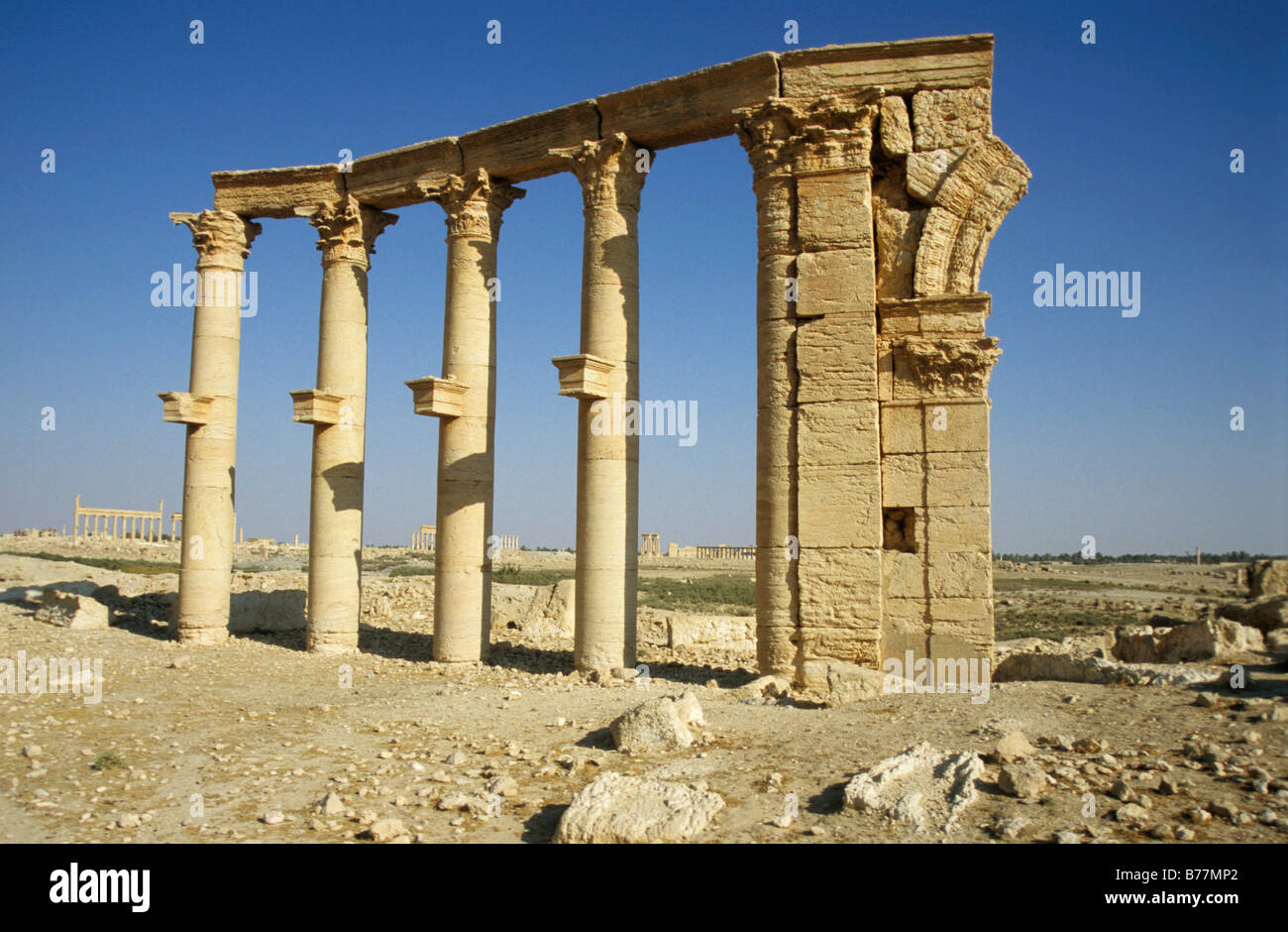 Ruins of the desert town Palmyra, Syria, Middle East, Orient Stock Photo