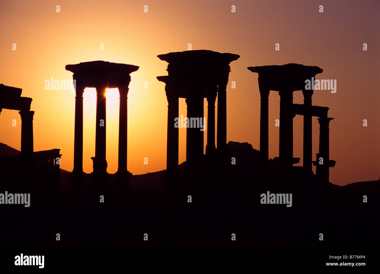 Columns of the desert town Palmyra in the sunset, Syria, Middle East, Orient Stock Photo