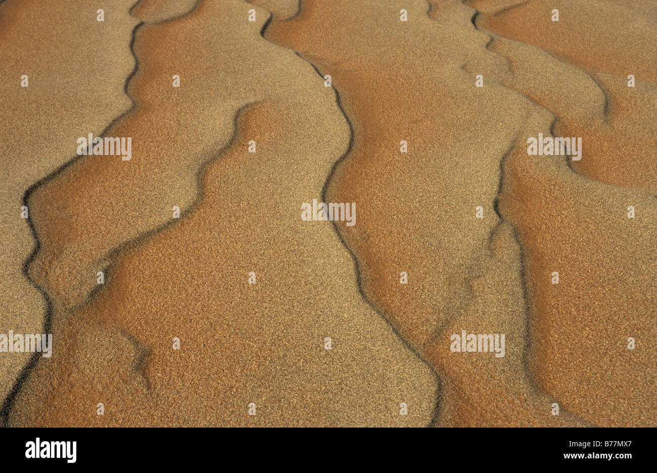 Pattern in the sand, Sossusvlei, Namib-Naukluft National Park, Namibia, Africa Stock Photo