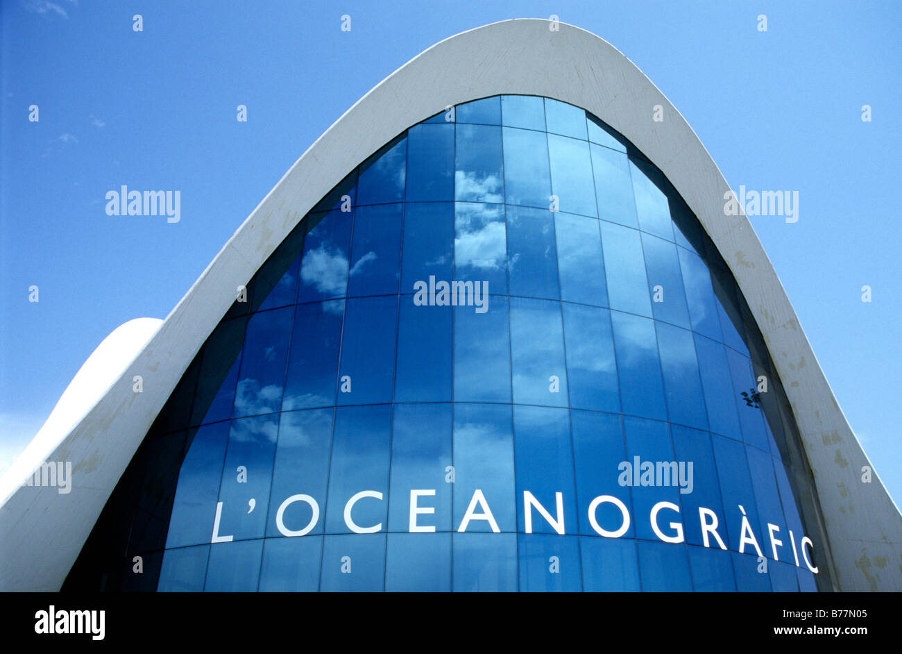 L'Oceanografic, oceanarium in the Ciutat de les Arts i des les Ciences, city of art and science, Valencia, Spain, Europe Stock Photo