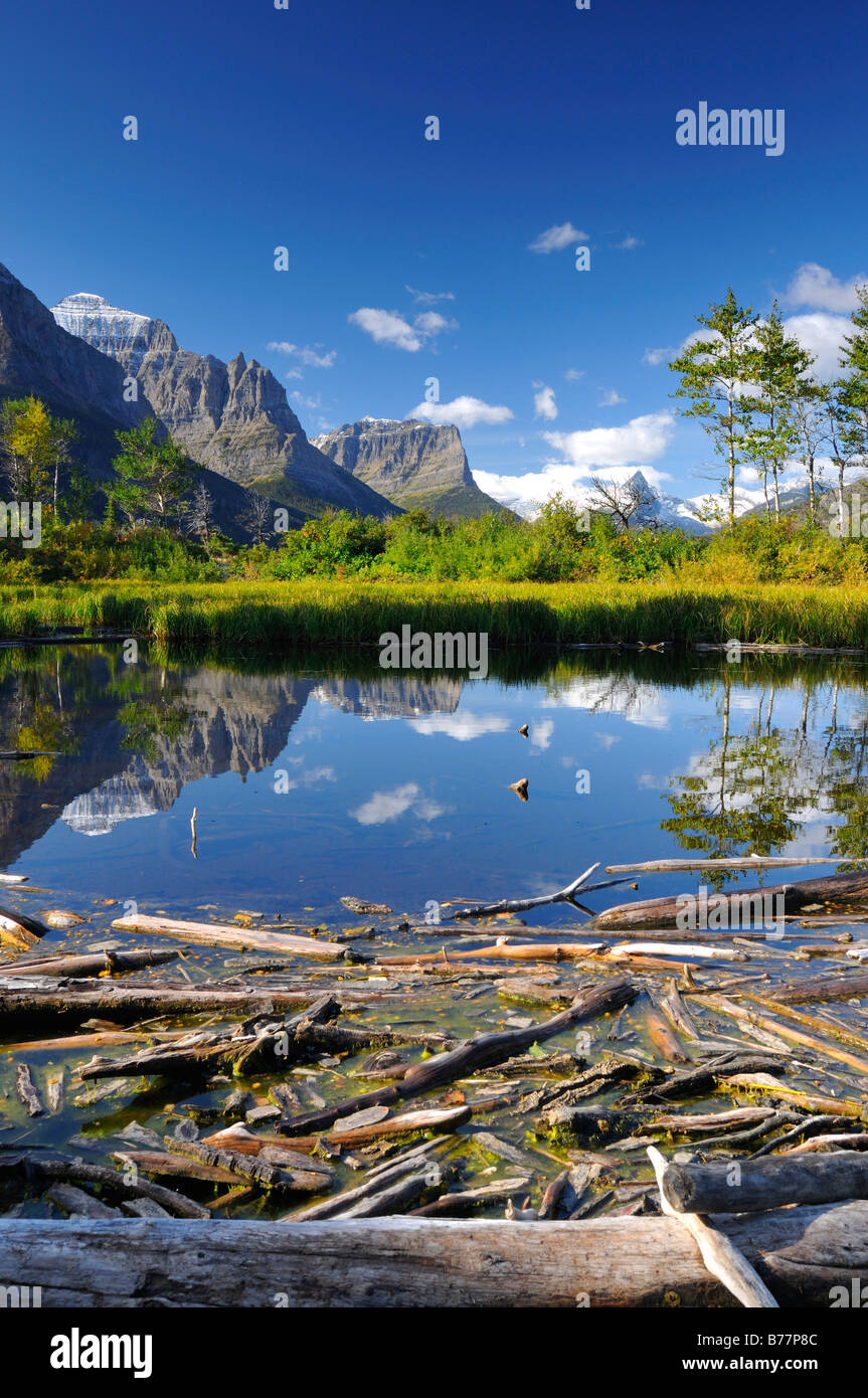 Driftwood on Lake Saint Mary, Glacier National Park, Montana, USA, North America Stock Photo
