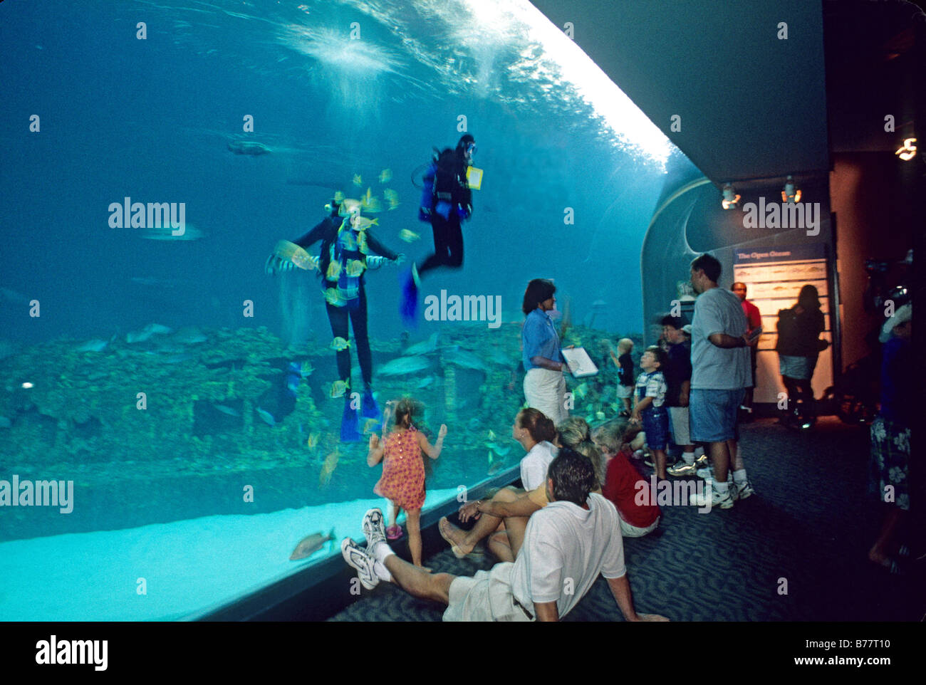 people at marine tank North Carolina Aquarium,Manteo Stock Photo Alamy