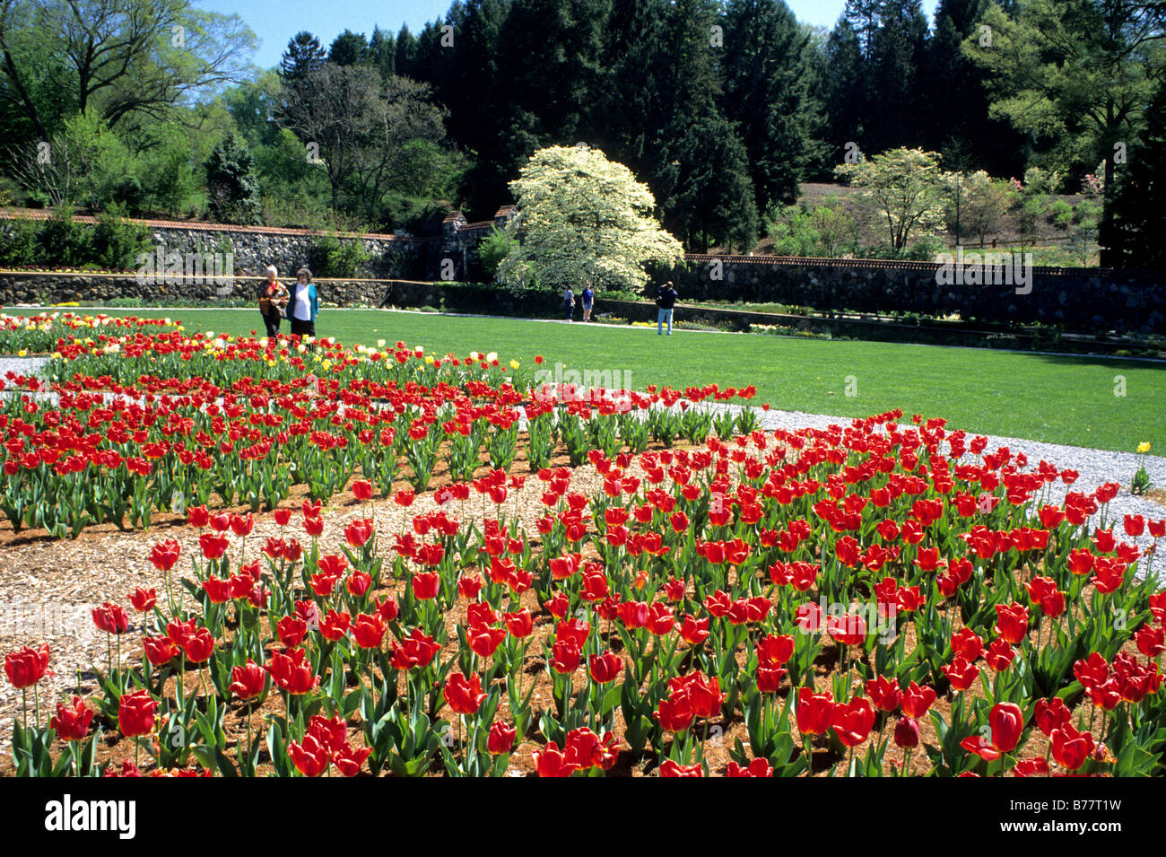 People touring tulip at Biltmore Estate,Asheville North Carolina Stock