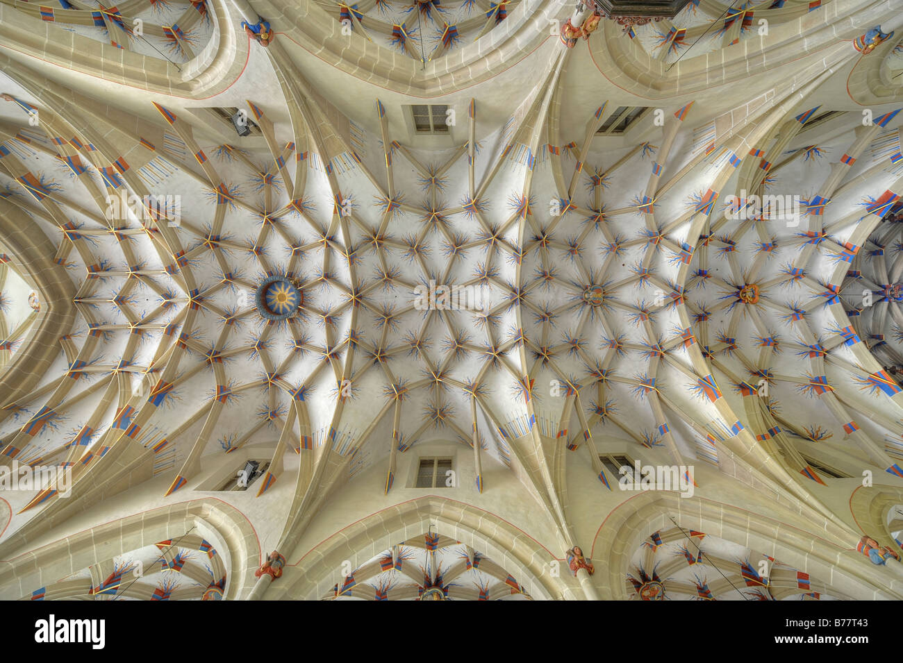 Interior view of reticulated or stellar vaulting on nave, Alexander Church, Alexanderkirche, Marbach am Neckar, Baden-Wuerttemb Stock Photo