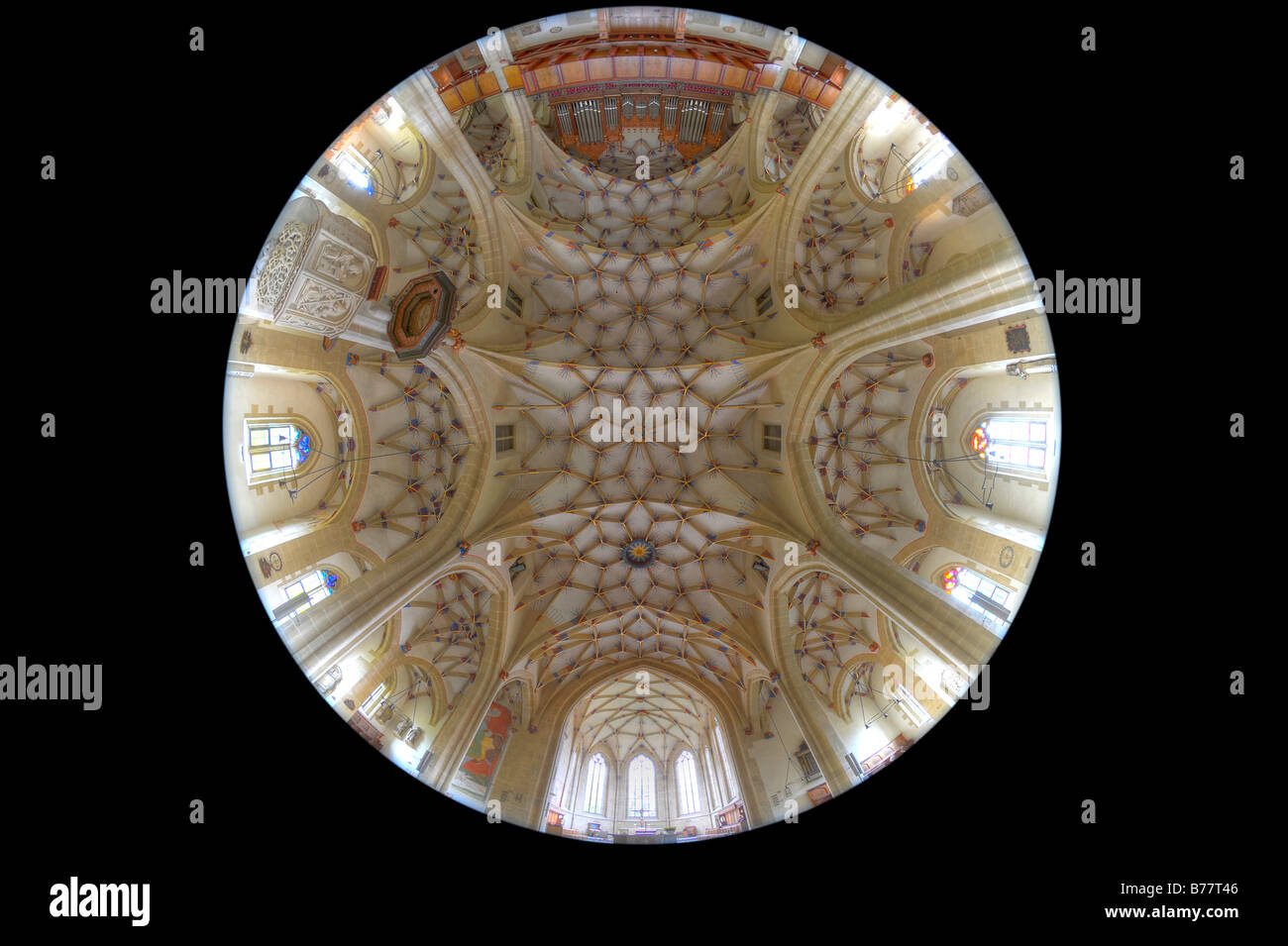 Fisheye shot of nave below reticulated or stellar vaulting with presbytery and Voit organ, Alexander Church, Alexanderkirche, M Stock Photo