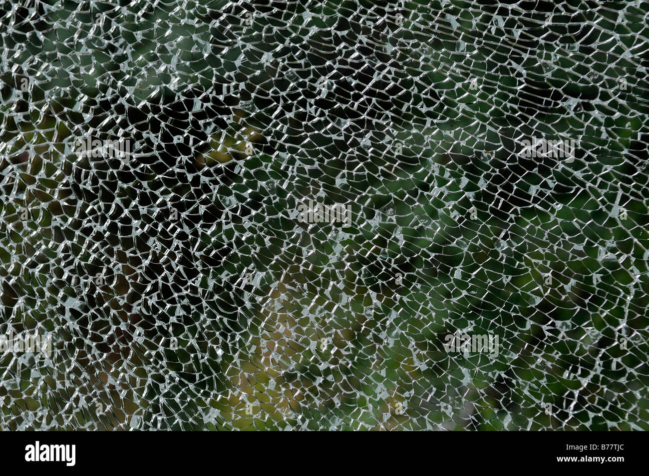Shattered safety glass panel Stock Photo