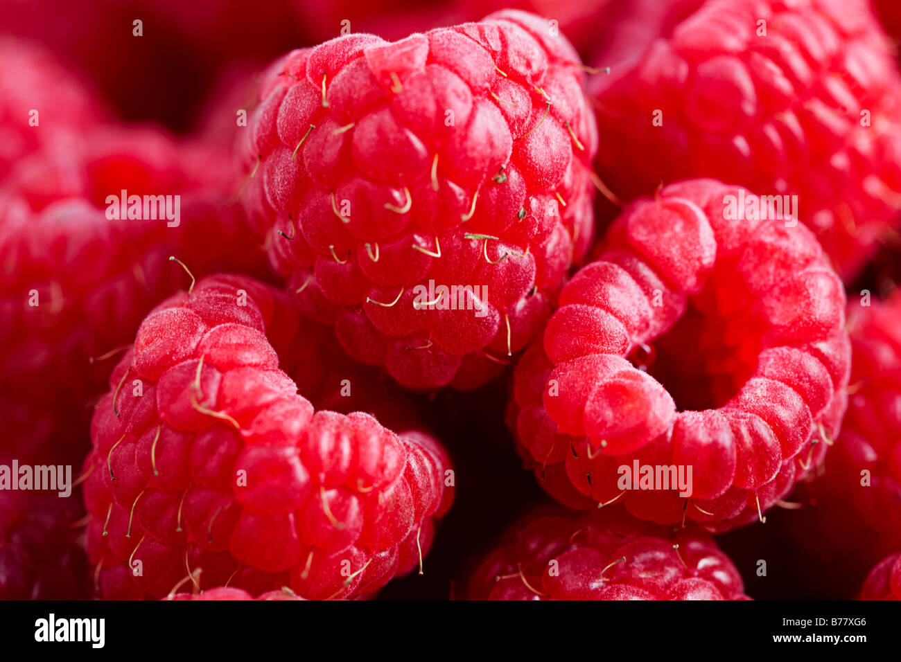 Horizontal Rasberries Editorial and horizontal landscape calendar hi-res stock photography ...