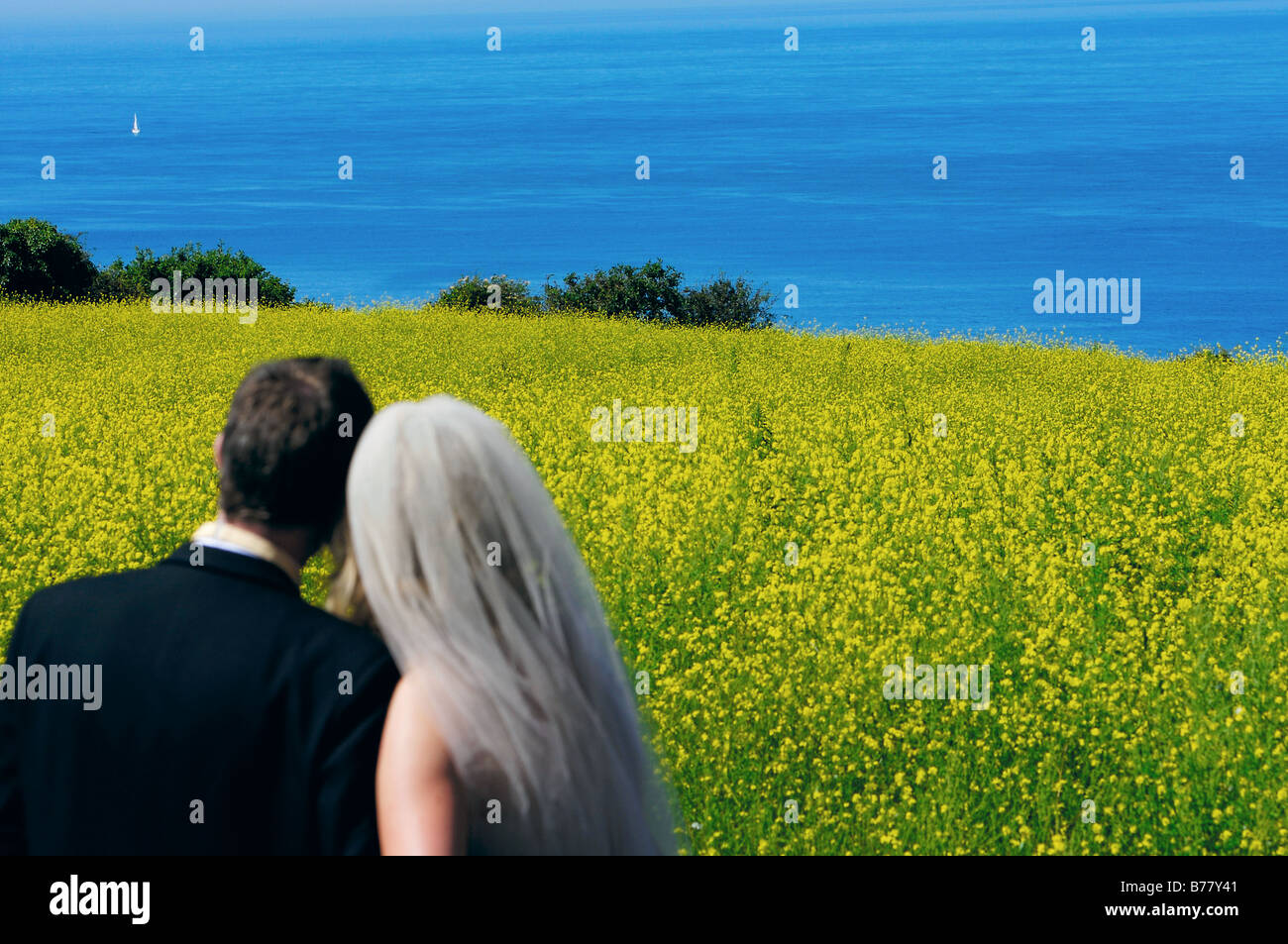 Bride groom back view traditional hi-res stock photography and images ...