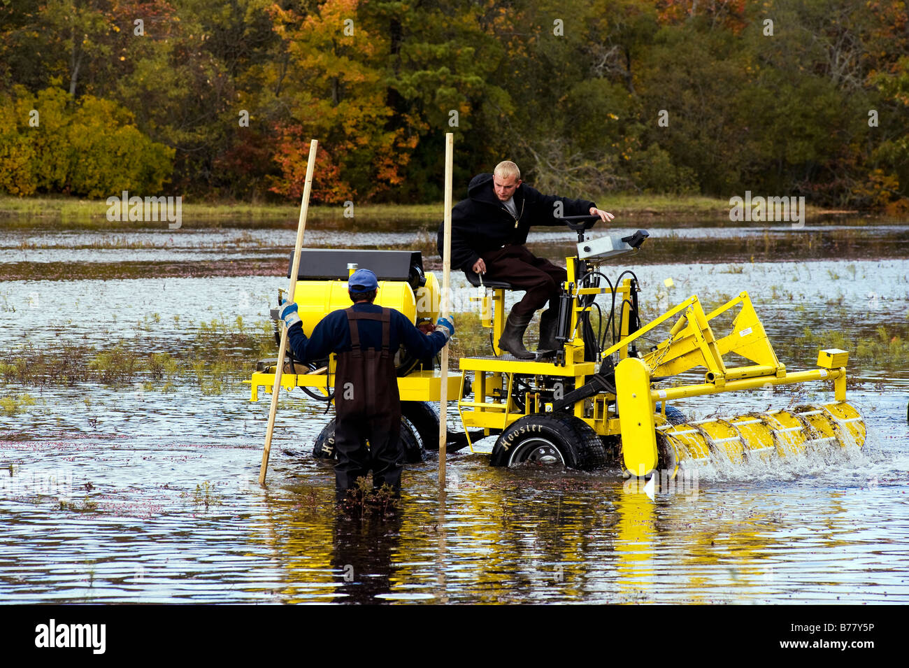 Cranberry harvest machine massachusetts hi-res stock photography and ...