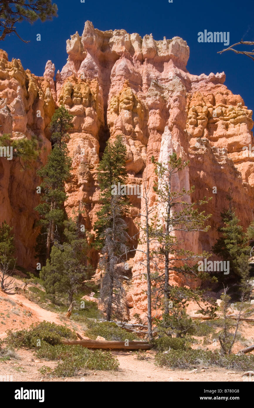 Queens Garden in Bryce Amphitheater Bryce Canyon National Park Utah Stock Photo