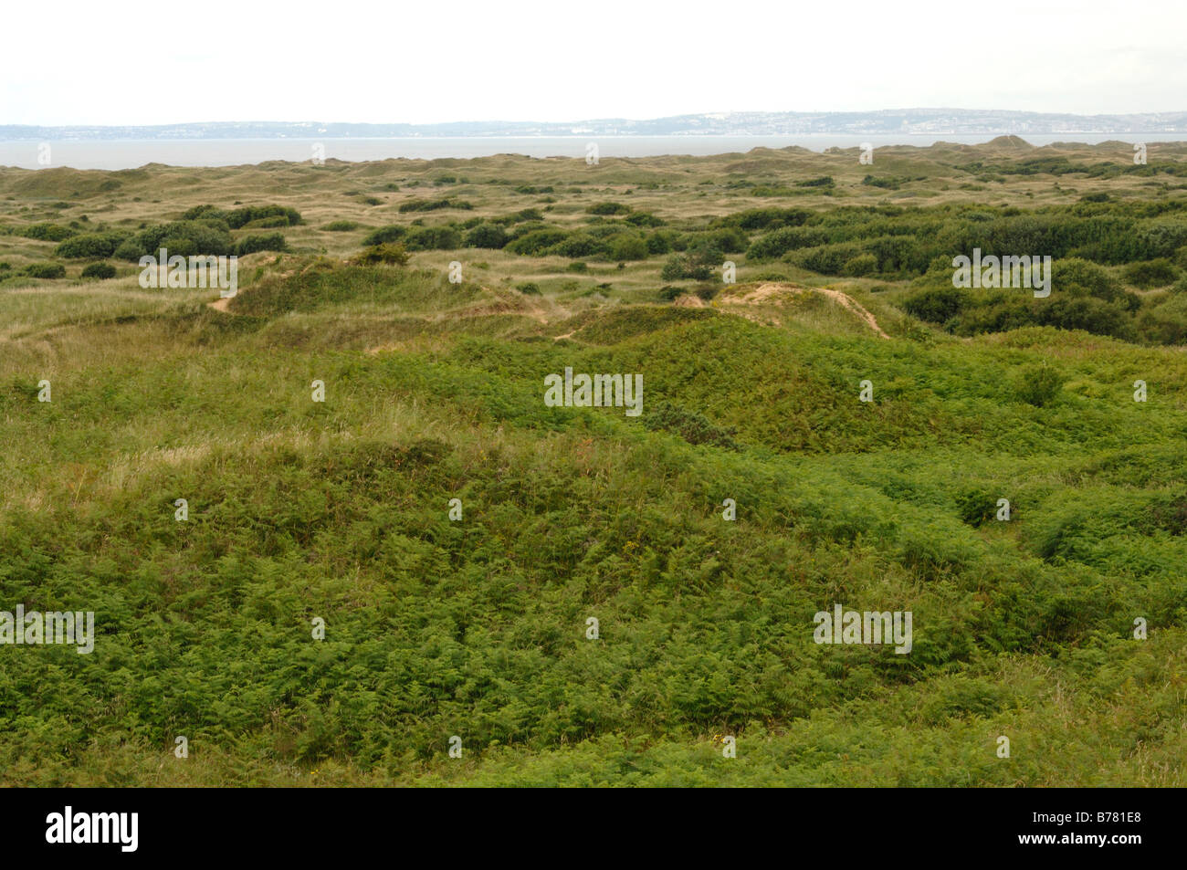Kenfig natural nature reserve hi-res stock photography and images - Alamy