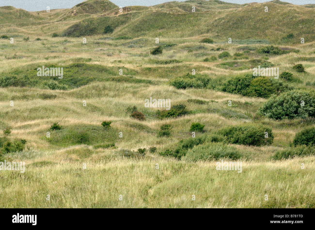 Kenfig National Nature Reserve Wales UK Europe Stock Photo - Alamy