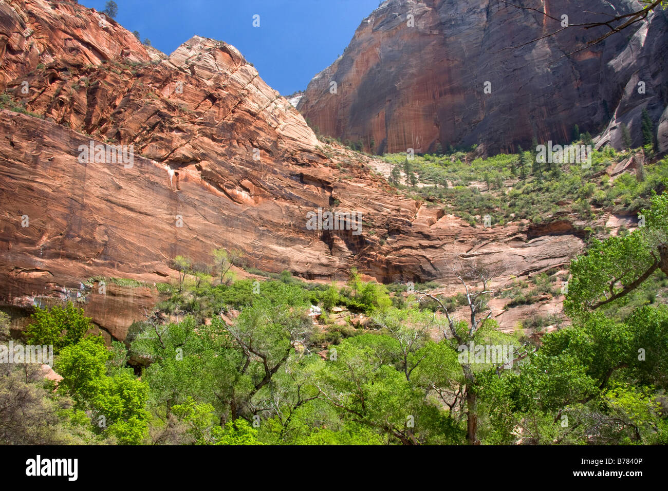 Zion canyon national park hires stock photography and images Alamy