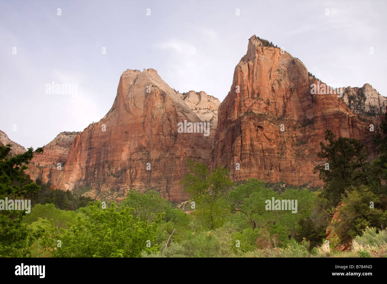 Court of the Patriarchs in Zion Canyon Zion National Park Utah Stock Photo