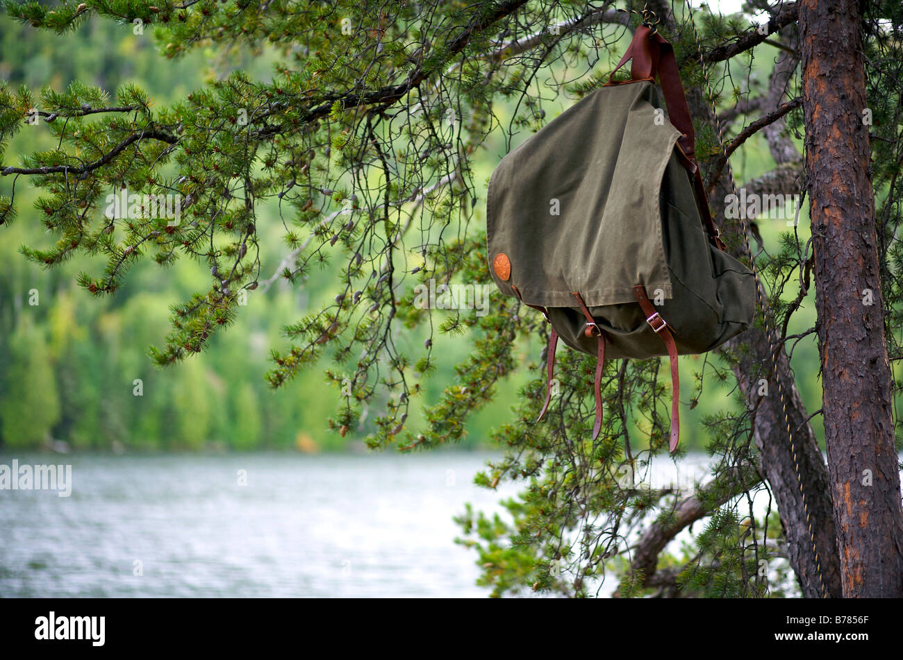 Food pack hanging from a tree in base camp in Boundary Waters Canoe Area Wilderness in the