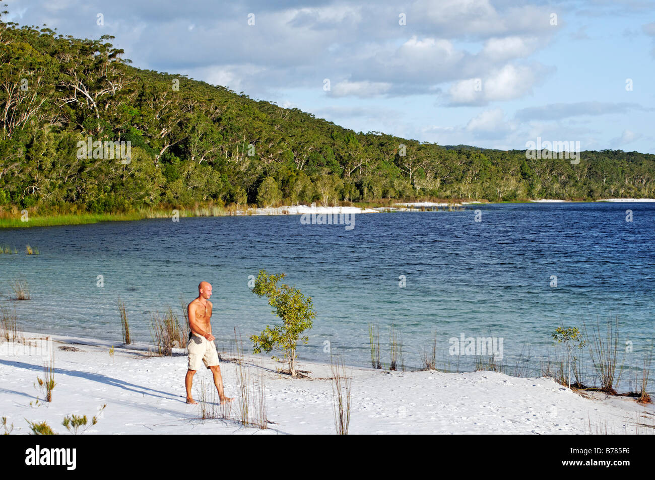 Young man walks near Lake McKenzie, Fraser Island, Queensland, Australia Stock Photo