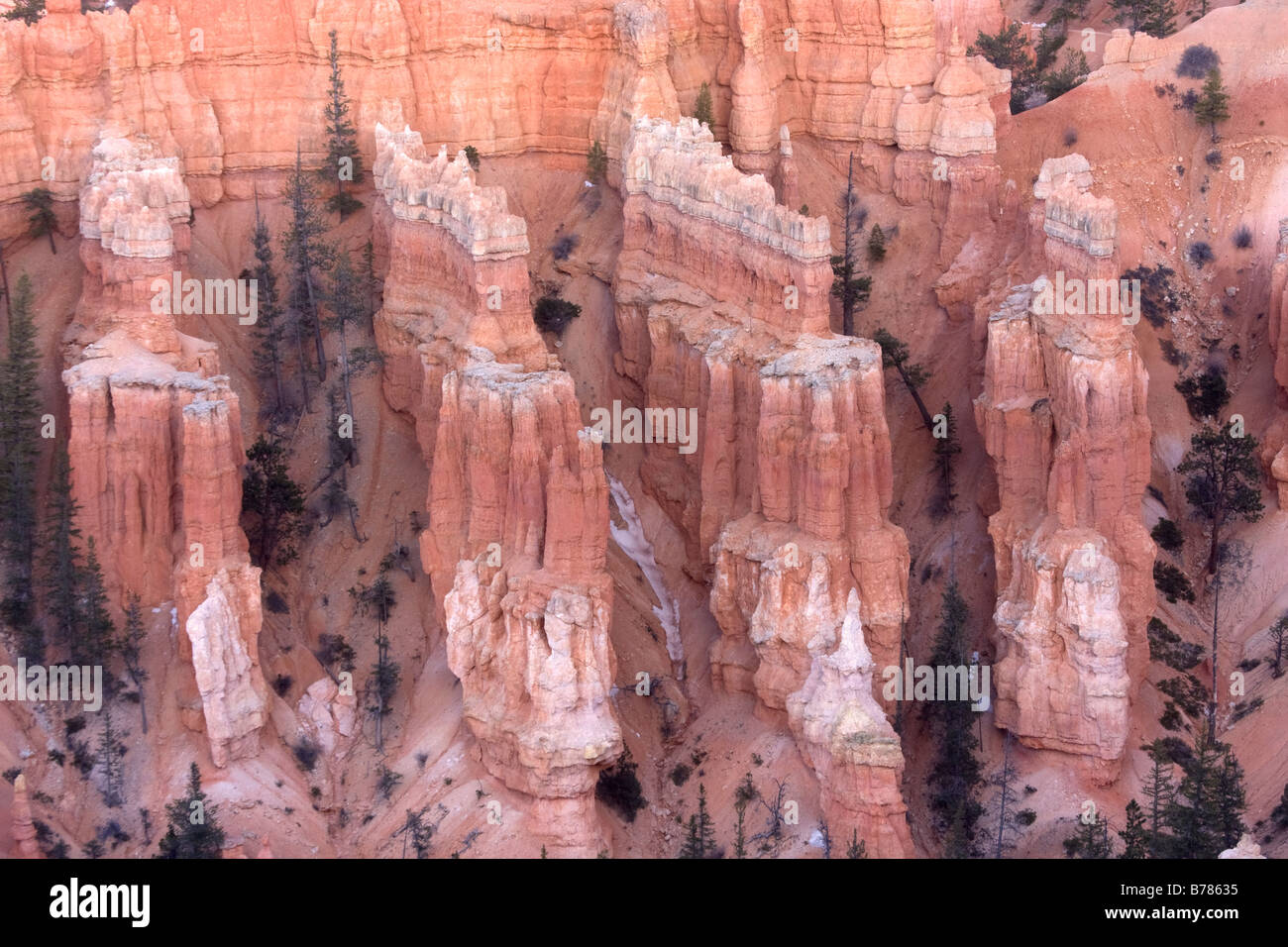 Hoodoos at Inspiration Point in Bryce Amphitheater Bryce Canyon National Park Utah Stock Photo