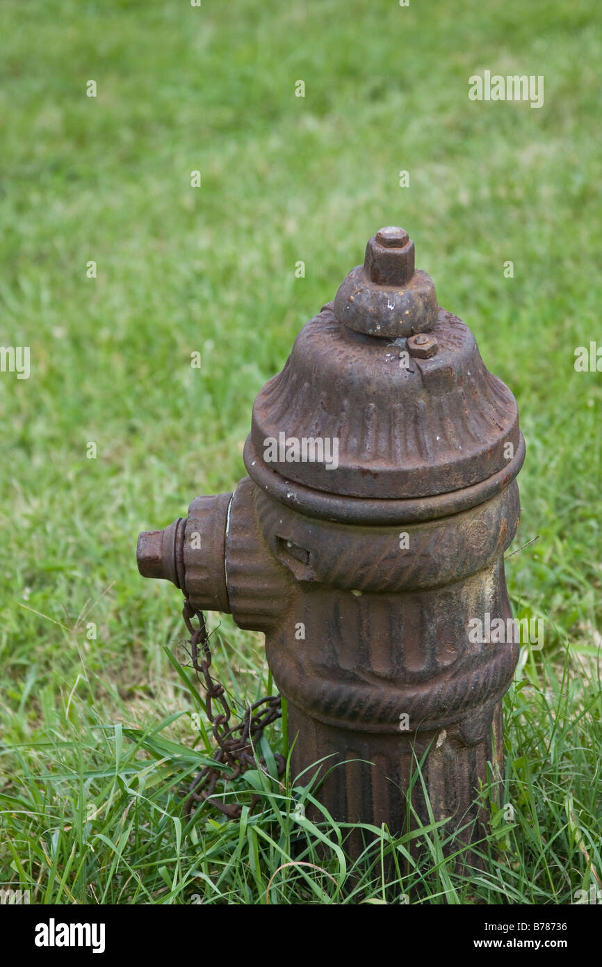 An antique fire hydrant sits in the grass at Longview Farms in Lee's