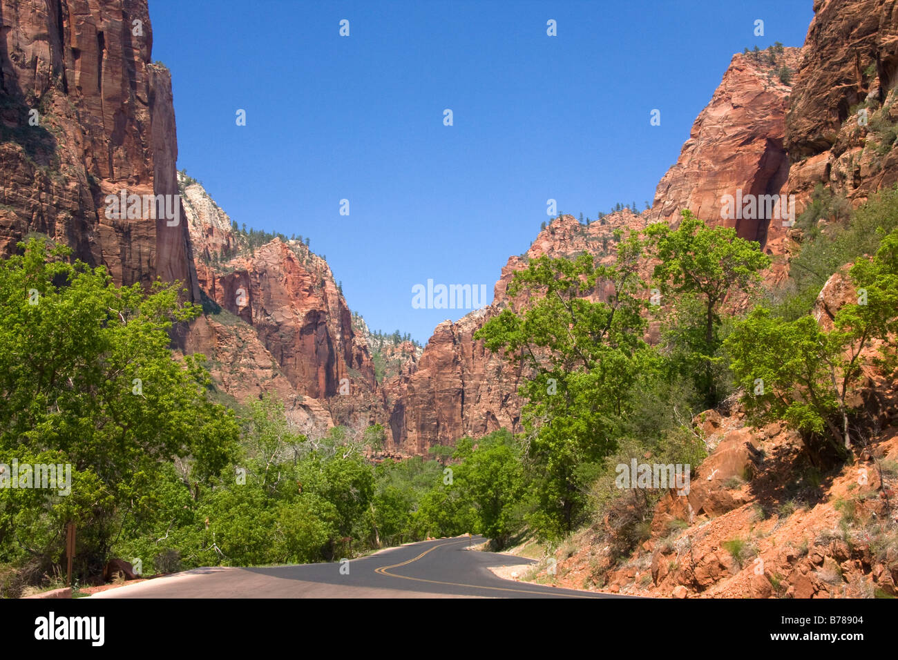 Zion Canyon Scenic Drive winds up Zion Canyon in Zion National Park Utah Stock Photo