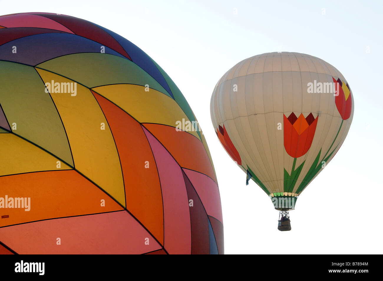 Hot air balloons in the air at the Dansville Balloon Festival, NY USA