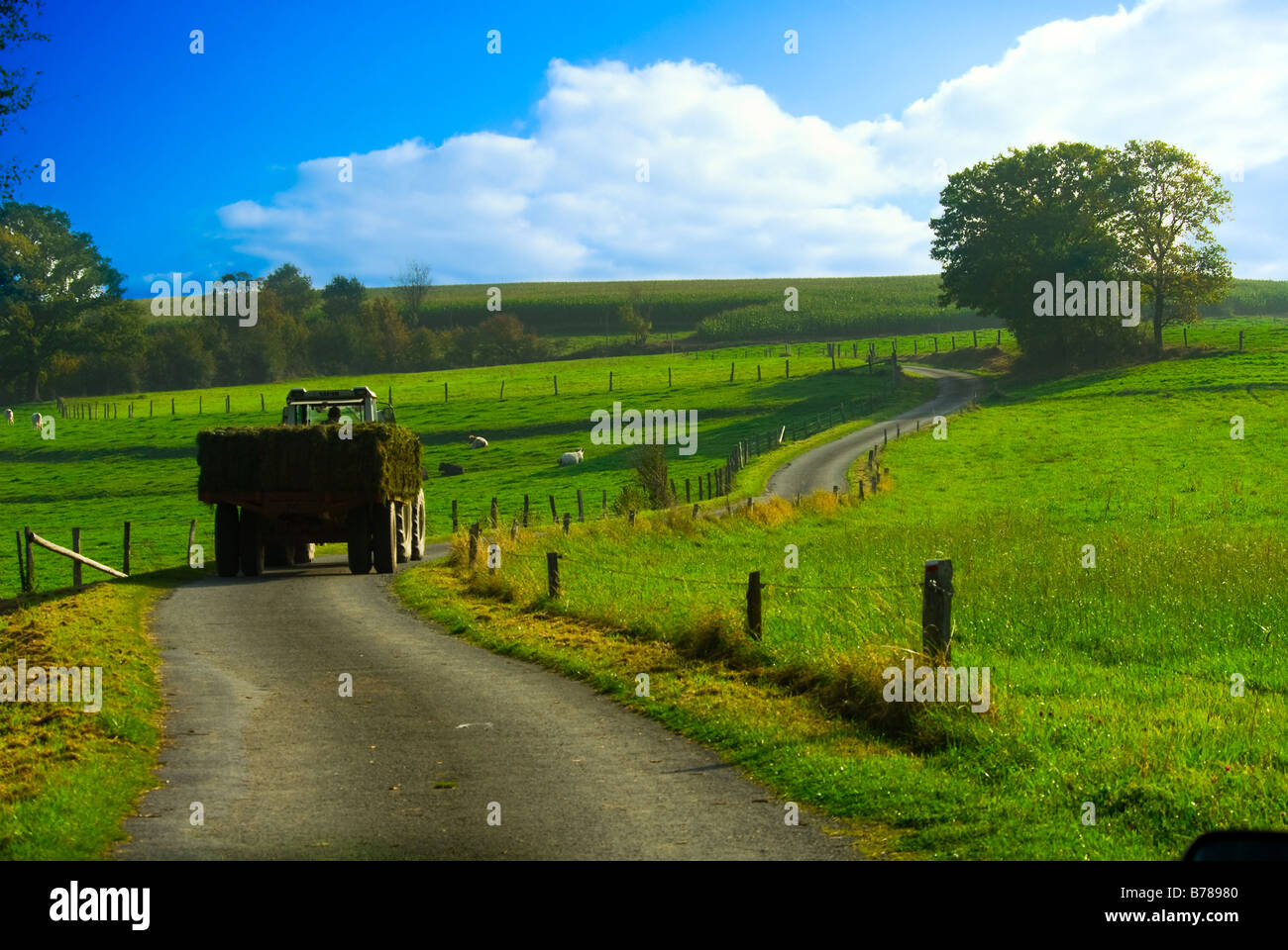 tractor with hay in a beautiful farmland landscape Stock Photo