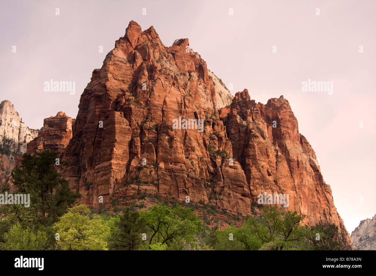 Mount Moroni in Zion Canyon Zion National Park Utah Stock Photo