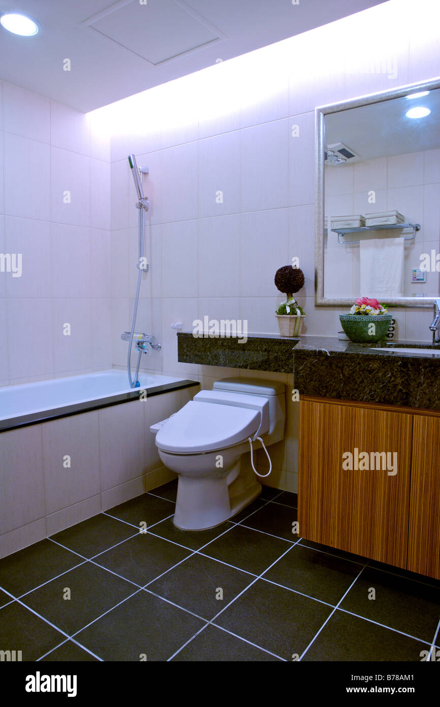 Bathroom with bathtub and toilet Stock Photo Alamy
