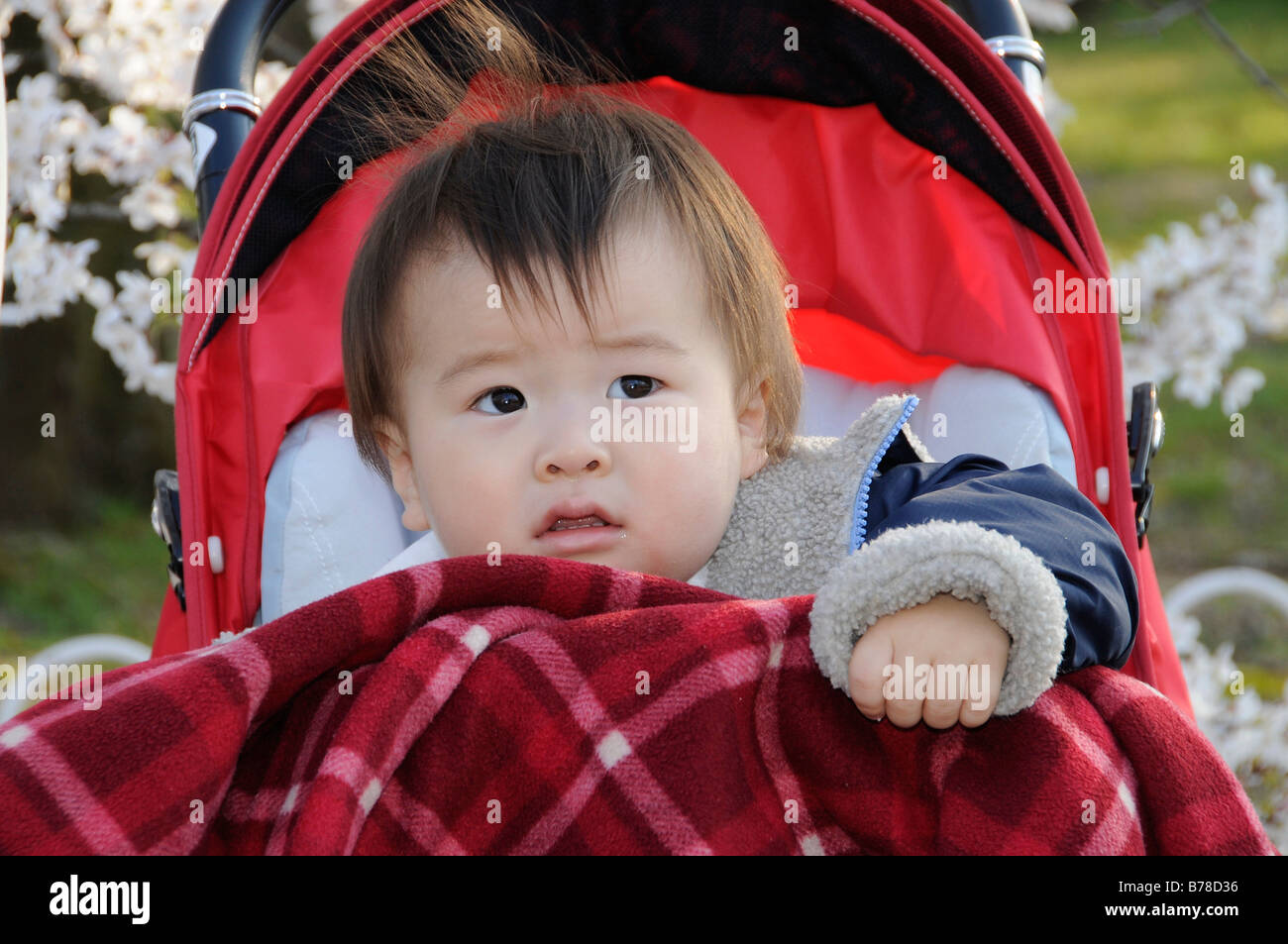 Japanese baby in a pram, Kyoto, Japan, Asia Stock Photo Alamy