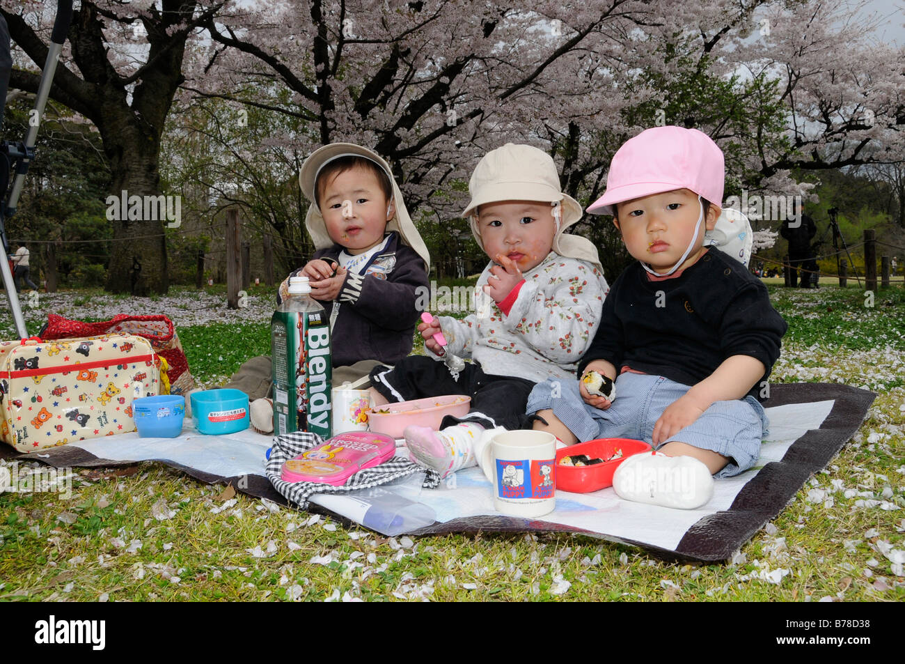 Japanese toddlers eating during the cherry blossom festivities at the Botanical Garden, Kyoto