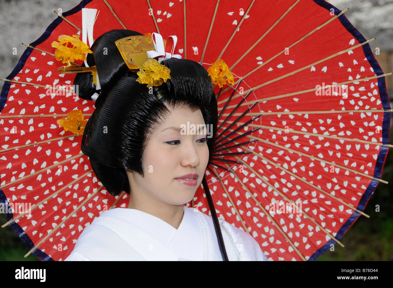 Bride Wearing A Wedding Kimono Holding A Traditional Paper Parasol