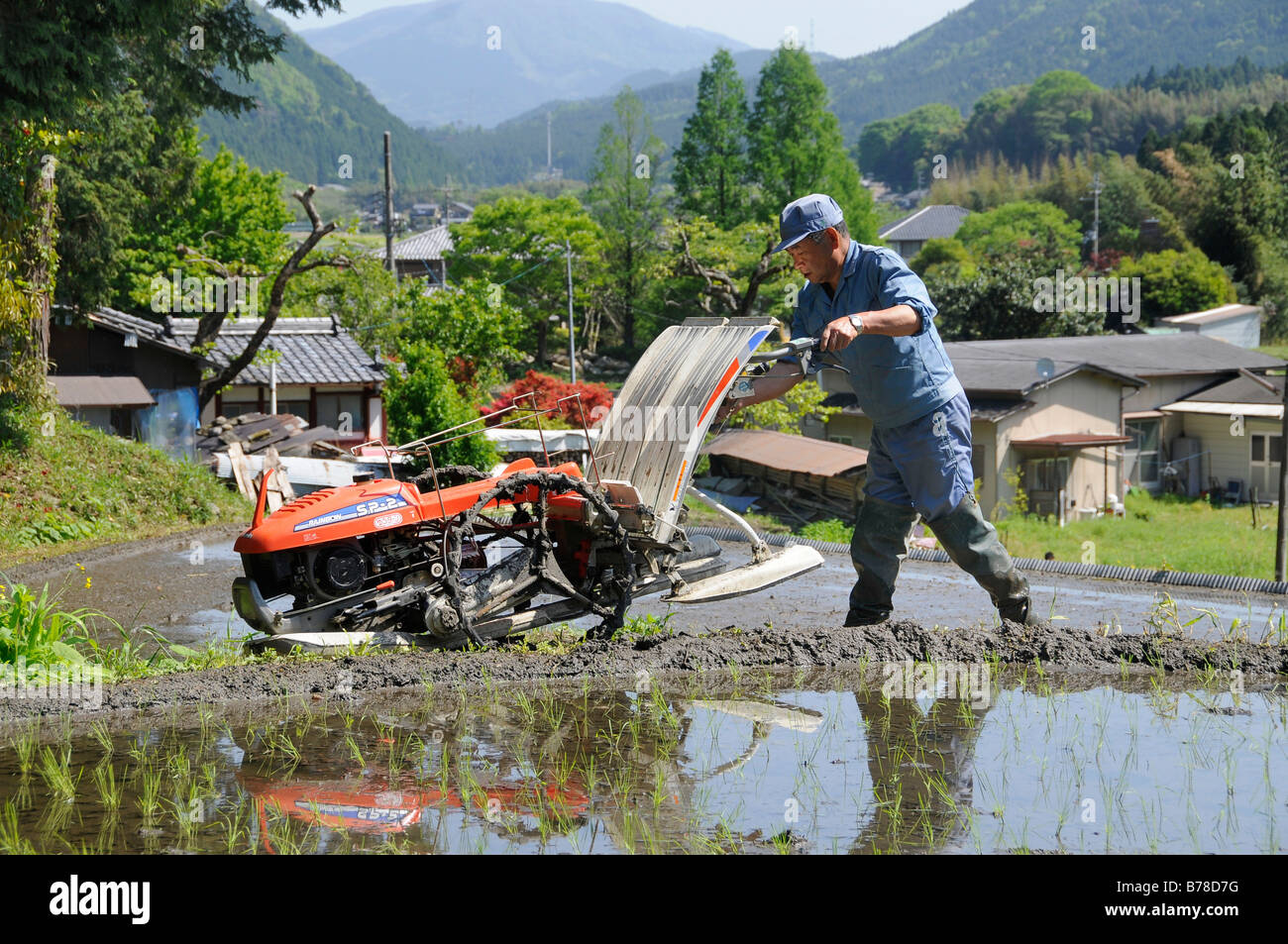 Rice farmer bringing his planting machine to the rice field, Ohara near ...